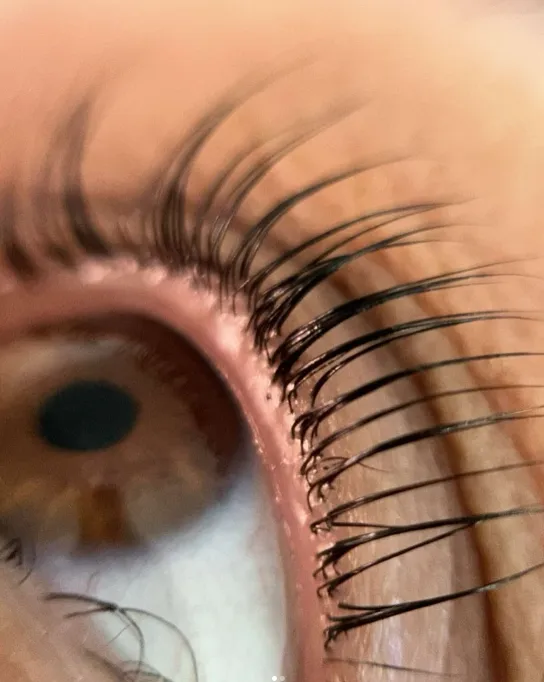 beauté des cils