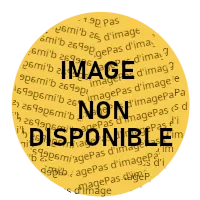 pas d'image disponible
